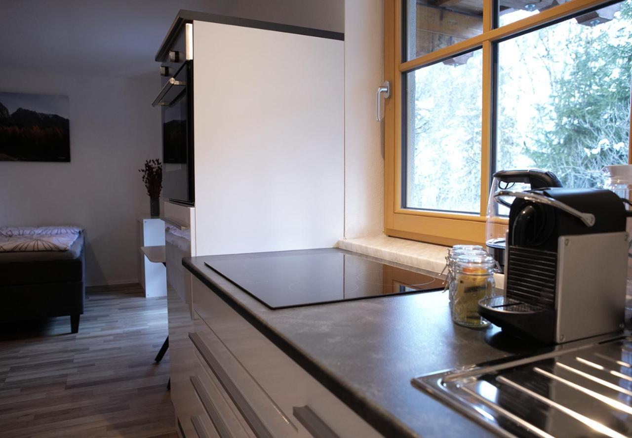 Appartement Steinfisch ラムサウ・アム・ダッハシュタイン エクステリア 写真