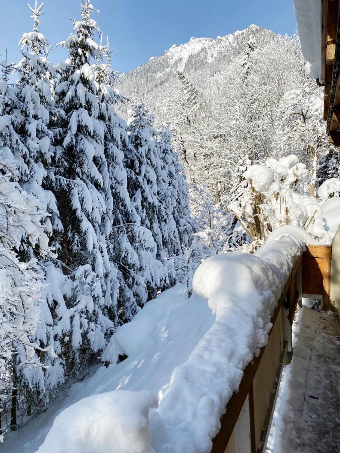Appartement Steinfisch ラムサウ・アム・ダッハシュタイン エクステリア 写真