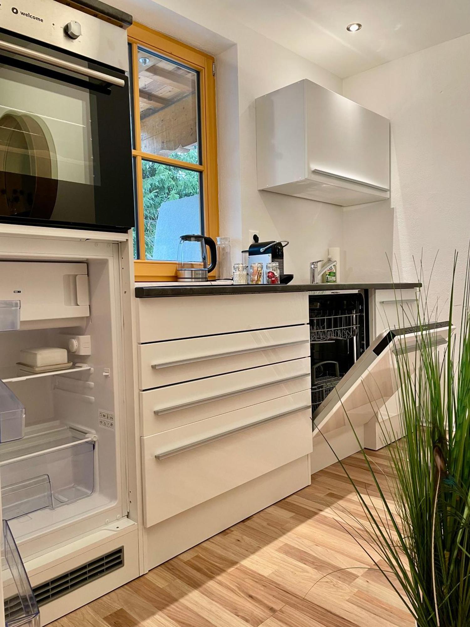 Appartement Steinfisch ラムサウ・アム・ダッハシュタイン エクステリア 写真