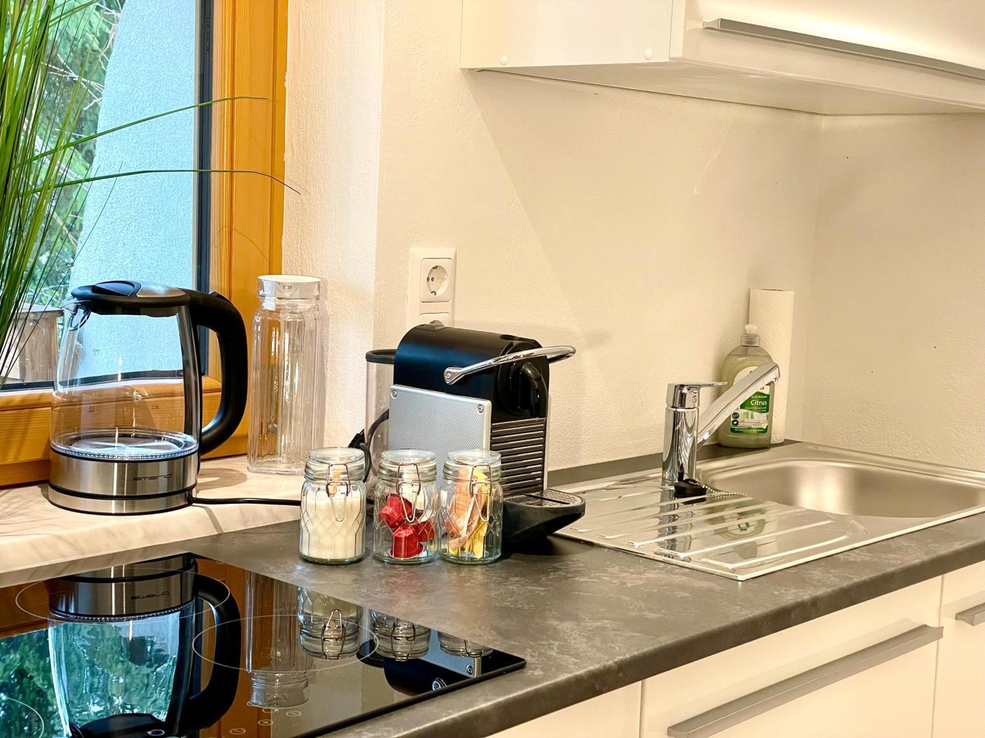 Appartement Steinfisch ラムサウ・アム・ダッハシュタイン エクステリア 写真